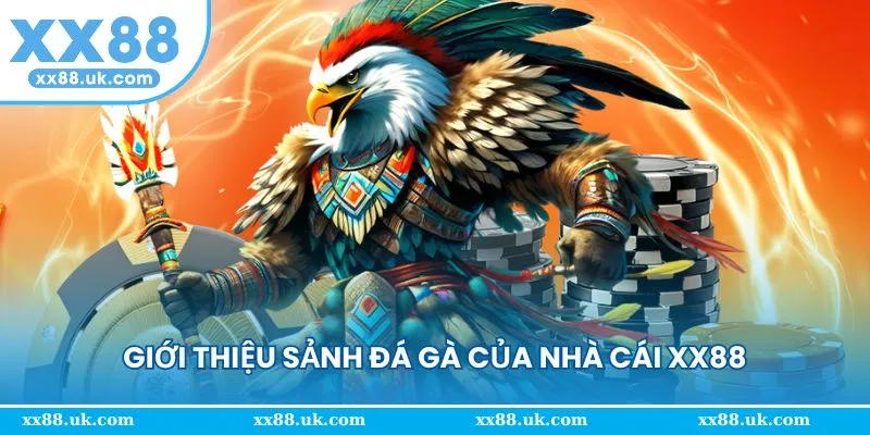 Giới thiệu đá gà đỉnh cao tại nhà cái XX88